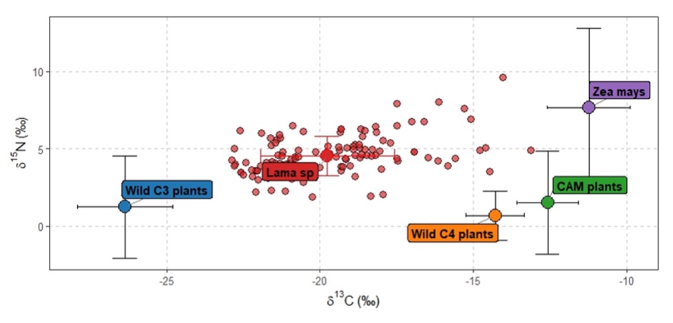 A diagram of plants growing

AI-generated content may be incorrect.