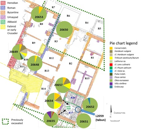 Figure 2 Area LL with sample locations. Pie charts show percentage of economic seeds by weight in each sample (Sample 20656 is not displayed because it contained no economic seeds). Plan courtesy of Yoav Arbel and the IAA.