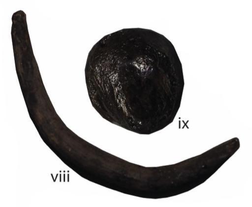 Figure 2 Select wood artifacts from Strata VIIIb-VI: fish hook (viii EkTb-9:749) and carved ball (ix EkTb-9:763).