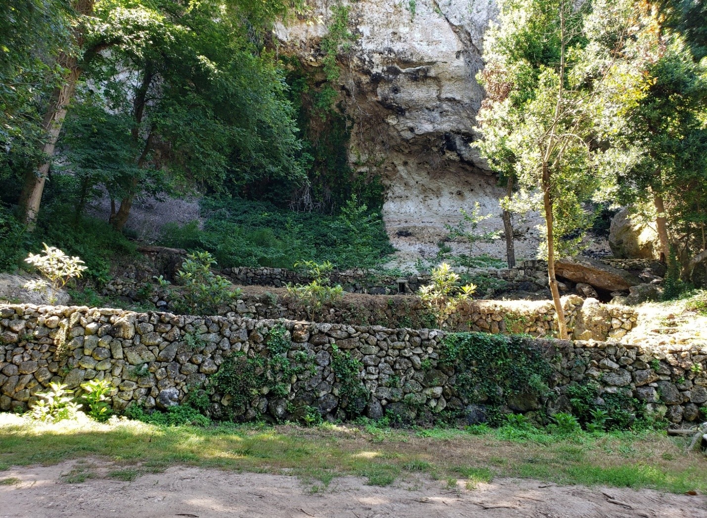 Figure 4 Irrigated terraces planted with fruit trees Arbres d’Algendar in July 2023.